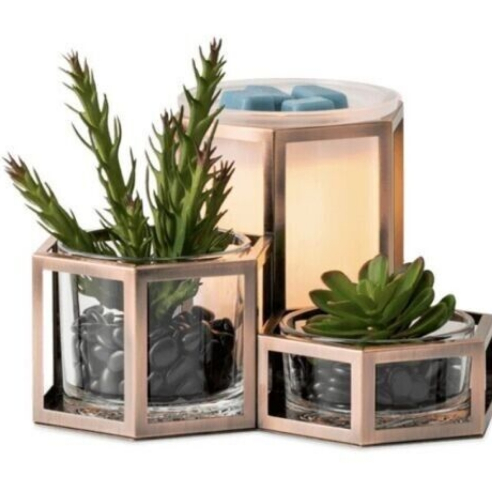 Scentsy Wild Desert